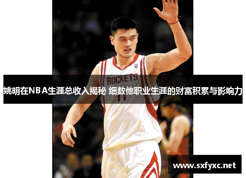 姚明在NBA生涯总收入揭秘 细数他职业生涯的财富积累与影响力