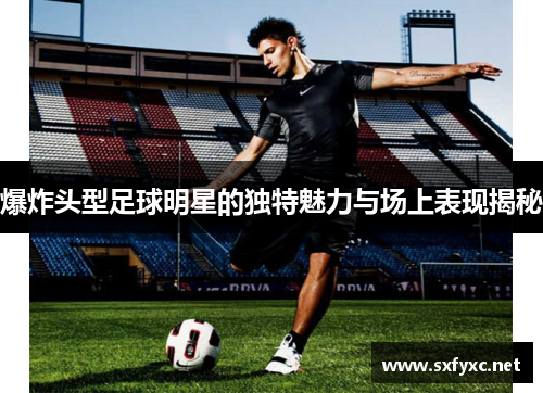 爆炸头型足球明星的独特魅力与场上表现揭秘