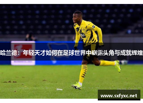哈兰德：年轻天才如何在足球世界中崭露头角与成就辉煌